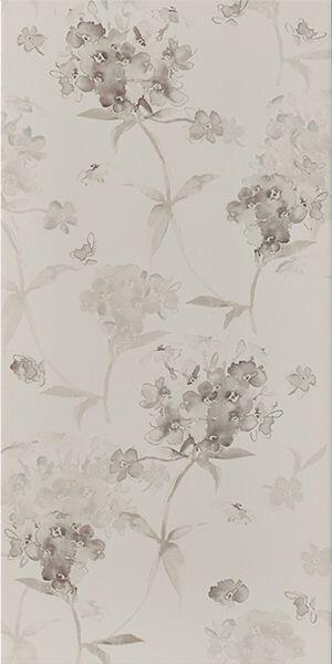 +14607 Anthea 1 36A.jpg +14607 Anthea 1 36A.jpg